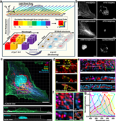 Light-sheet excitation-encoded volumetric spectroscopy for fast multiplexed imaging and quantitative physicochemical mapping in cells