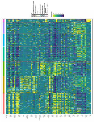 Genetic interaction between Adgrg6 and Sox9 reveals a feedforward mechanism for postnatal spinal stability