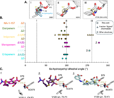 Acyl-enzyme dynamics, tautomerisation and hydration regulate turnover of carbapenem antibiotics by the OXA-48 β-lactamase