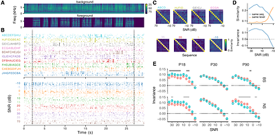 A complex acoustical environment is necessary for maintenance and development in the zebra finch auditory pallium