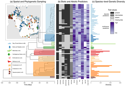 Drivers of genetic diversity across the marine tree of life