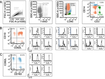 Single-nucleus RNA sequencing reveals the cellular diversity of cerebrospinal fluid in the context of intraventricular hemorrhage