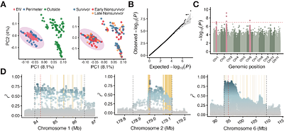 Extreme cooling enables survival in extreme heat