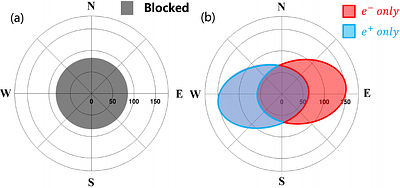 Measurement of separate electron and positron spectra from 10 GeV to
  20GeV with the geomagnetic field on DAMPE