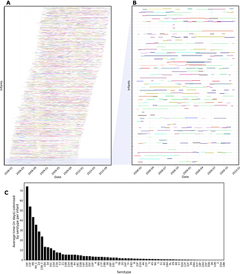 Quantifying the effects of antibiotic resistance and within-host competition on strain fitness in Streptococcus pneumoniae