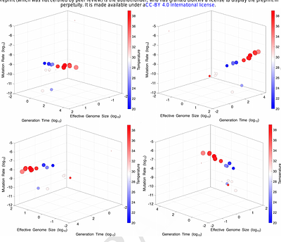 Evolution of the highest fidelity DNA replication systems