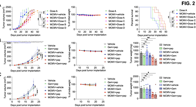 Redirecting cytomegalovirus immunity against pancreas cancer for immunotherapy