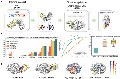 Accurate Protein-Protein Interactions Modeling through Physics-informed Geometric Invariant Learning