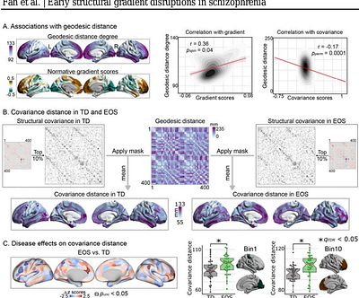 Contracted anterior-posterior systematic covariance of cortical thickness in early-onset schizophrenia