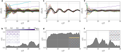 Quantum synchronization and chimera states in a programmable quantum many-body system