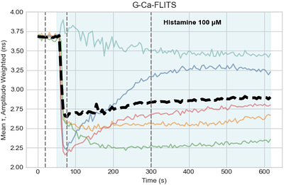 Quantitative imaging of calcium dynamics with a green fluorescent biosensor and fluorescence lifetime imaging
