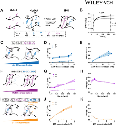 Hydrogel viscoelasticity modulates cell nascent extracellular matrix deposition