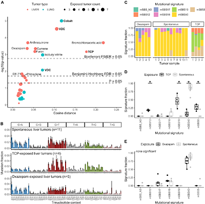 A signature-agnostic test for differences between tumor mutation spectra reveals carcinogen and ancestry effects