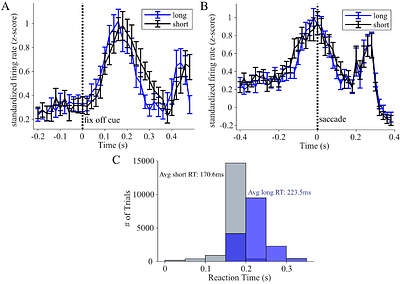 The role of the locus coeruleus in eye movements during perceptual decision making