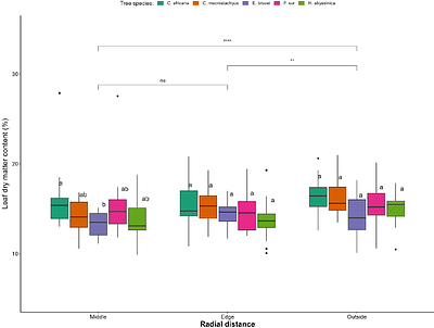 Effects of agroforestry trees on microclimate and enset (Ensete ventricosum) morphophysiology in South Ethiopia