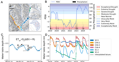Groundwater and phenology data reveal vulnerability of riparian trees to drought