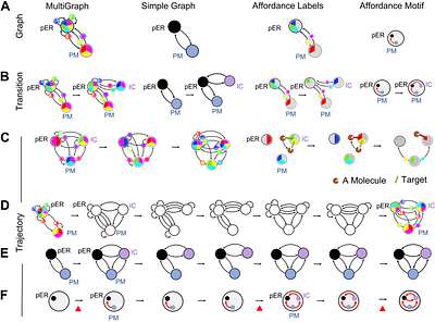 Punctuated Evolution of Endomembrane Compartments in Proto-Eukaryotes