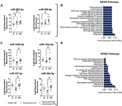 Microglia modulate concussion biomarkers and cognitive recovery in male mice