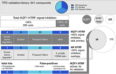 Optimization and evaluation of complementary degrader discovery assays for application in screening