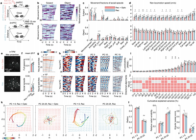 Behavioral hierarchy without a hierarchical brain