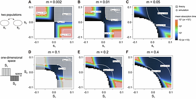 Maintenance of polymorphism in spatially heterogeneous environments