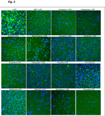 FDA-approved drug library screen identifies antidepressants, antimicrobials, anti-COPD, and anti-CVD agents as blockers of NLRP3 inflammasome and sepsis in a sex-dependent manner.