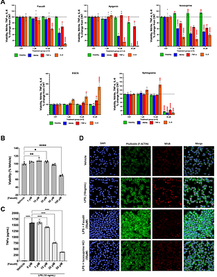 Anti-inflammatory and pro-proliferative effects of fasudil in human trisomy 21 neural progenitor cells