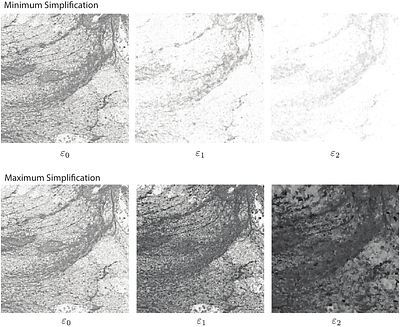 Persistence-Augmented Neural Networks
