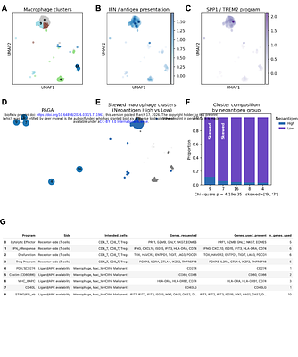 POLQ-driven repair scars shape the immunogenic landscape of homologous recombination-deficient pancreatic cancer