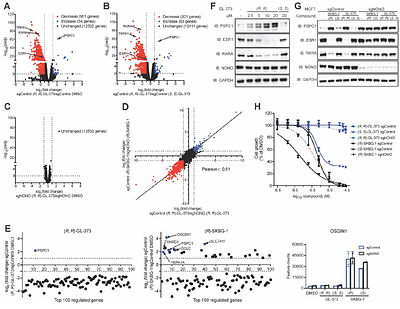 Structural and mechanistic analysis of covalent ligands targeting the RNA-binding protein NONO