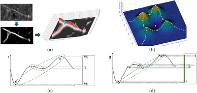 Skeletonization of neuronal processes using Discrete Morse techniques from computational topology