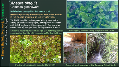Baseline Inventory of the Bryophytes of Grand Staircase-Escalante National Monument, Utah