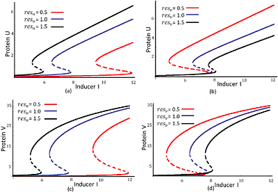 Spatial pattern formation as a consequence of Protease Competition