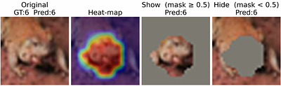 Learning Quantifiable Visual Explanations Without Ground-Truth