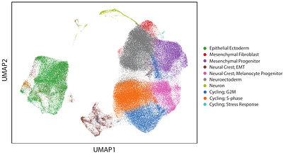 X-Cell: Scaling Causal Perturbation Prediction Across Diverse Cellular Contexts via Diffusion Language Models