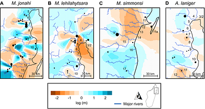 Species-specific responses to paleoclimatic changes and landscape barriers drive contrasting phylogeography of co-distributed lemur species in northeastern Madagascar