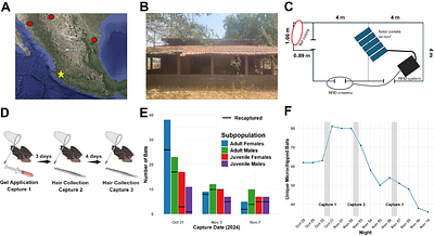 An optimized rabies vaccine vehicle for orotopical administration to wild vampire bats.