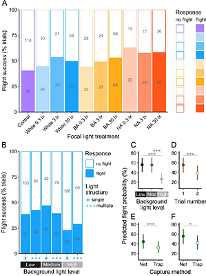 Effects of artificial light colour, intensity, structure and contrast on moth flight behaviour