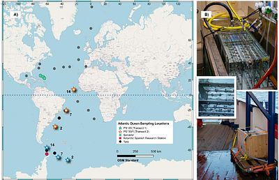 Microbial Colonisation of Polyethylene in Offshore Marine Environments: Insights from the Southern and South Atlantic Oceans.