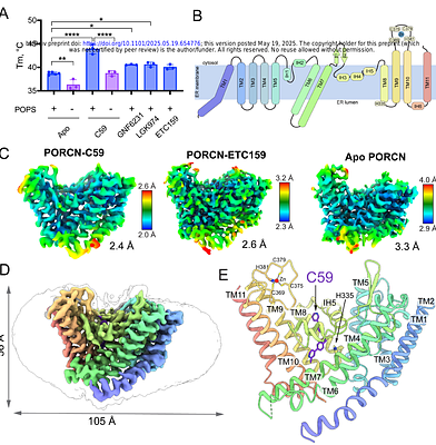Structural basis for Porcupine inhibition