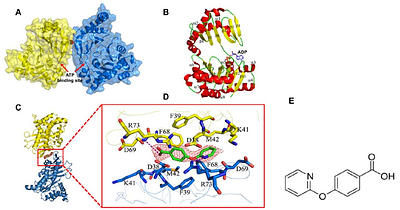 Structure-based design of small molecule inhibitors of the cagT4SS ATPase Cagα of Helicobacter pylori