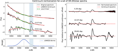Between Plateaus and Slopes: A Data-Driven Exploration of Spectral Diversity Across Type IIP/L Supernovae