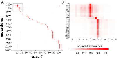 pLM-SAV: A Δ-Embedding Approach for Predicting Pathogenic Single Amino Acid Variants