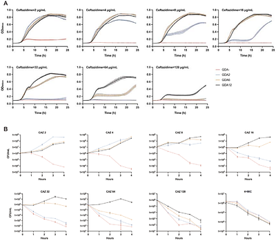 Cost and benefits of gene amplification-mediated antibiotic resistance