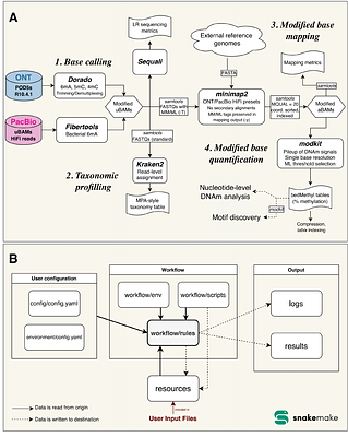 methbiome: reference-based DNA methylation profiling of long-read metagenomic data