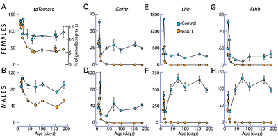 Heterogeneity of Sox2-expressing cells in mouse pituitary and their roles in postnatal gonadotroph differentiation