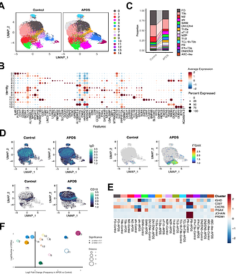 Loss of B cell tolerance at the T2/T3a B cell transition is a convergent pathogenic mechanism in common variable immunodeficiency