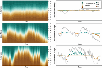 Environmental fluctuations trigger faster evolution and turnover