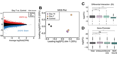 3D genome remodelling underlies PU.1-dependent granulocyte maturation