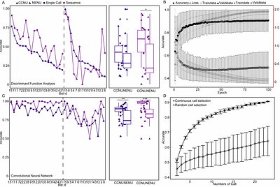 Deep Learning Reveals Persistent Individual Signatures in Bat Echolocation Calls of the Greater Leaf-nosed Bat